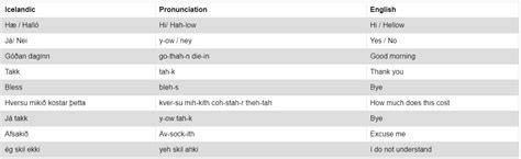 icelandic english translator.